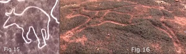 12,000-Year Old Petroglyphs in India show Global Connections