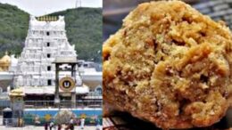 Tirupathi Laddoos